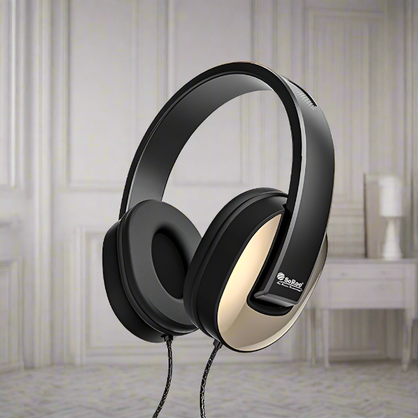 Headphone with mic